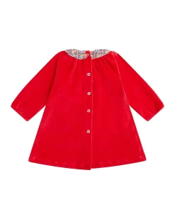 Floral Berry Ruffle Collar Velour Dress - Baby